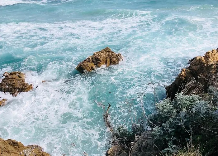 Pool House 2 Etoiles Vue Panoramique Amazing Sea View Wifi Linge Linen Inclus Aircondition Appartamento La Croix-Valmer